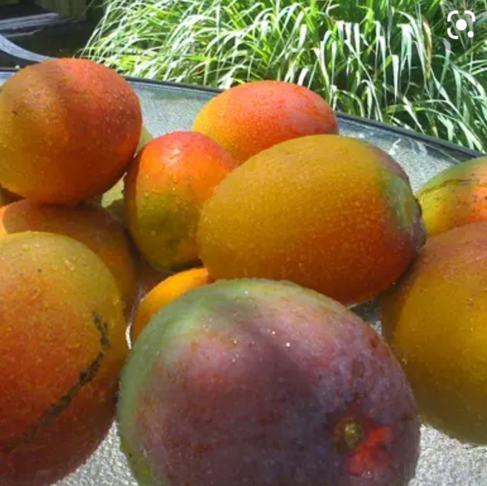 Meet your Posher, Patricia - Picture 10 of 12